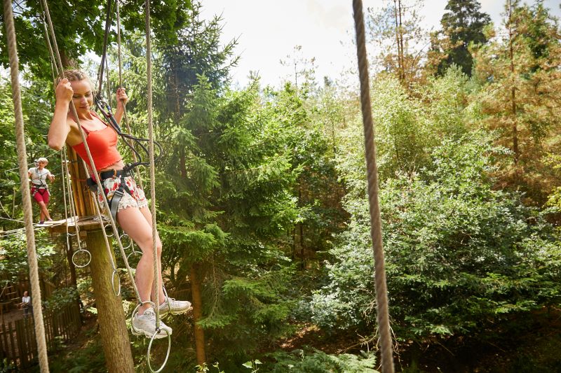 Go Ape Buxton Go Ape Buxton
