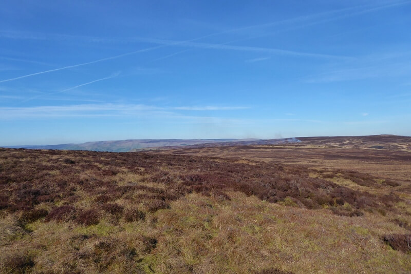 View of a Dark Peak moorland in the Peak District. Image courtesy of Ali Quas-Cohen.