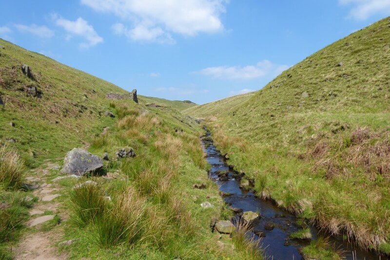 Stream in valley. Image courtesy of Ali Quas-Cohen.