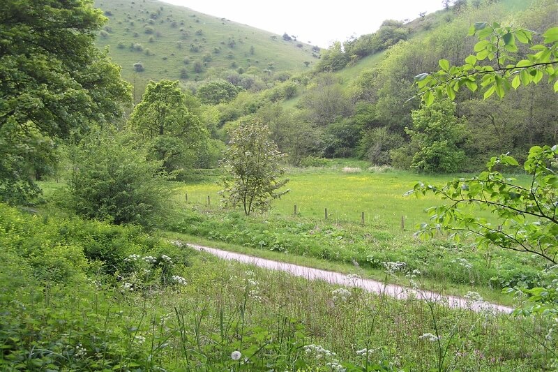 Wye Valley Nature Reserves