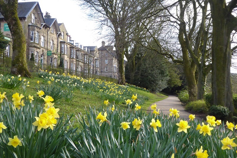 Pavilion Gardens in the Spring. Image: Ali Quas-Cohen Pavilion Gardens in the Spring, Buxton, Derbyshire. Image: Ali Quas-Cohen