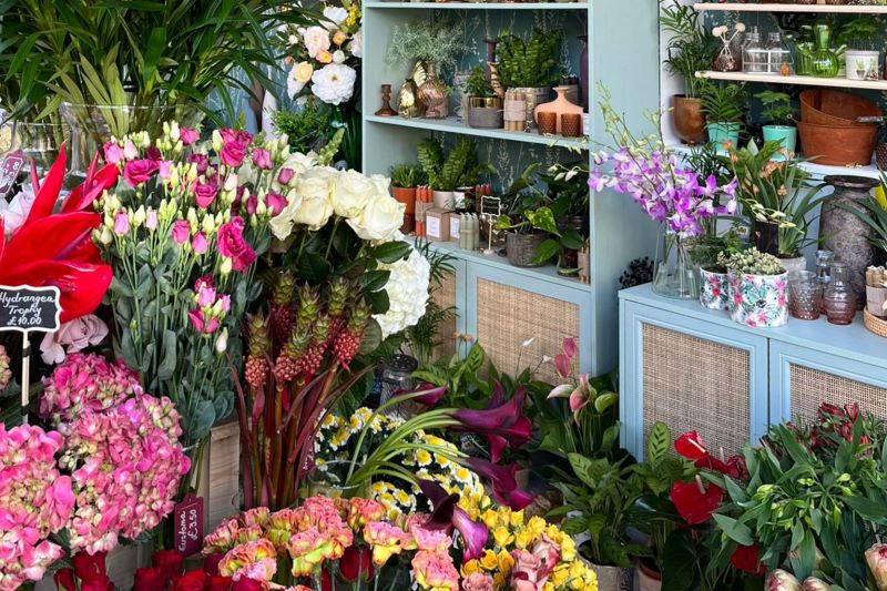Peak Flowers
